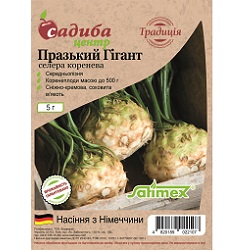 салера листовая что это такое. Смотреть фото салера листовая что это такое. Смотреть картинку салера листовая что это такое. Картинка про салера листовая что это такое. Фото салера листовая что это такое